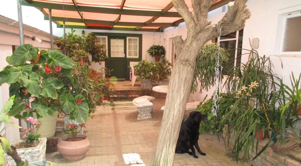 Van Rhyn Guest House Vanrhynsdorp المظهر الخارجي الصورة
